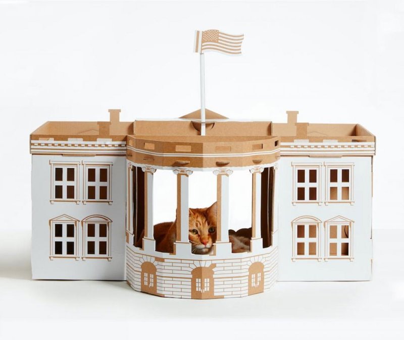 Дизайнеры компании Poopy Cat из Амстердама решили, что кошкам необходимо почувствовать себя значимыми
