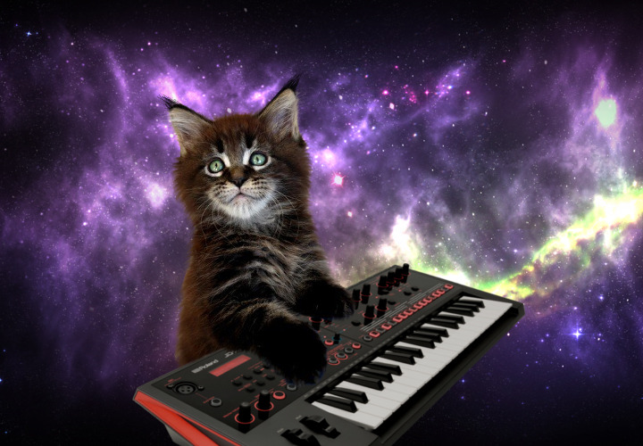 Эпичные картинки с котиками на синтезаторе в космосе 