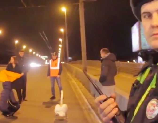 Автомобилисты в Калининграде спасли лебедя, упавшего на оживленную магистраль 