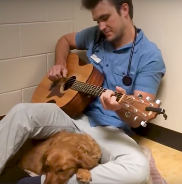 Ветеринар спел песню больному щеночку 