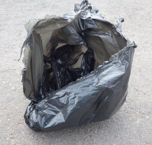 Прохожие заметили, что мешок с мусором издавал странные звуки и медленно полз по дороге