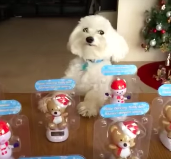 Пёс комично подражает игрушкам-неваляшкам 