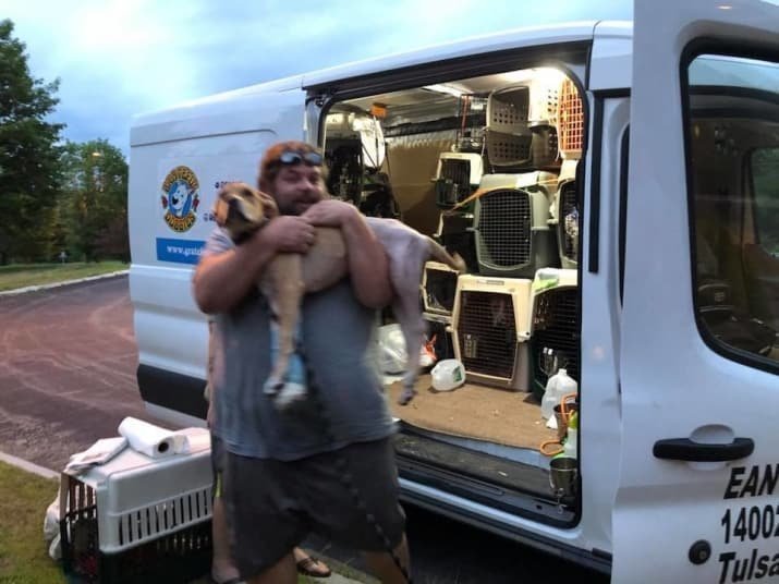 Непростая история спасения бездомного пса, вселяющая надежду