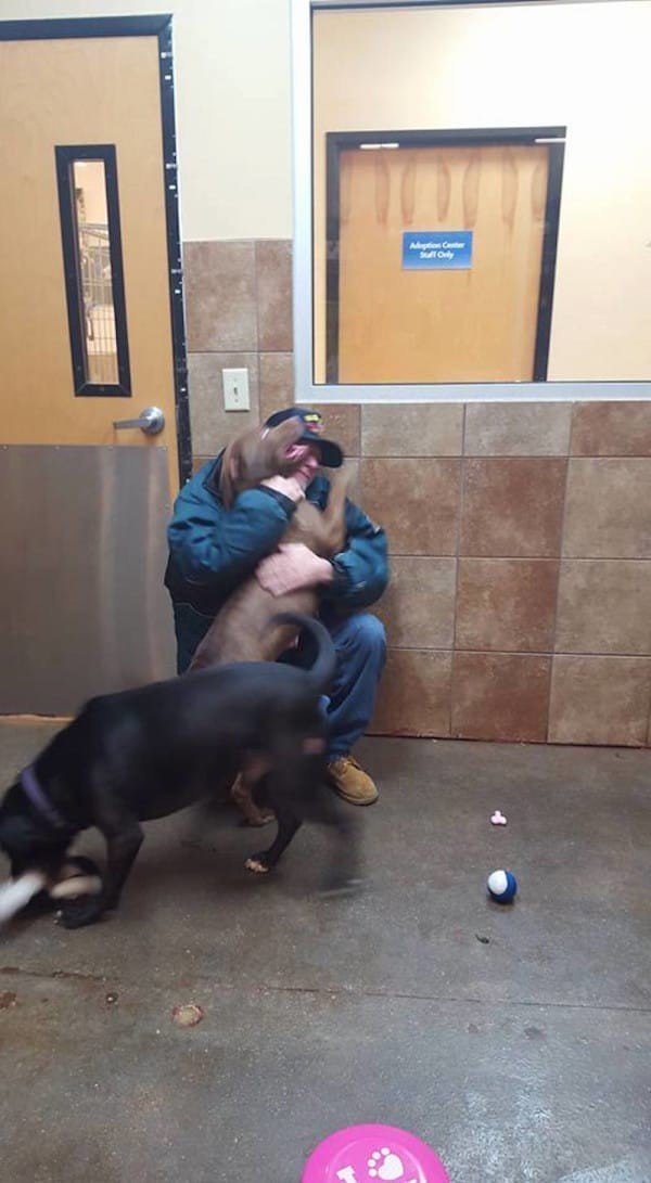 Мужчине пришлось оставить своих собак в приюте, но когда он вернулся их забрать, то не смог сдержать слез 