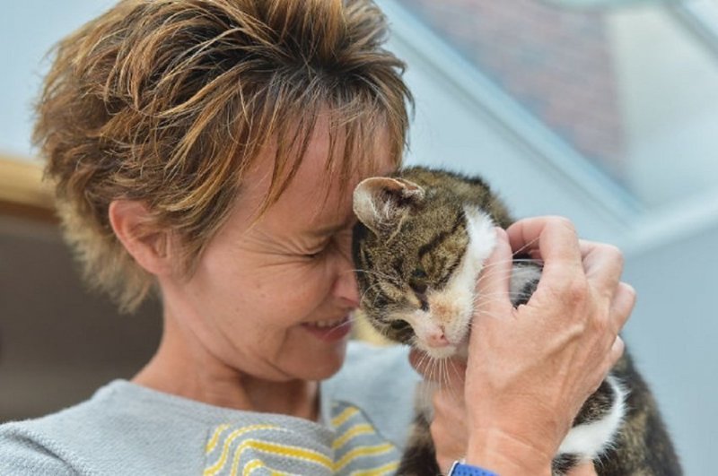 Женщина потеряла кошку 13 лет назад, но их обеих ждало удивительное воссоединение