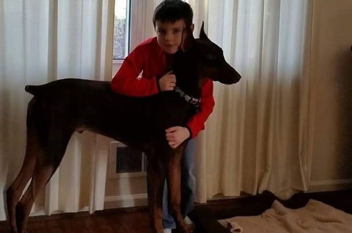 10-летний мальчик продал свои игрушки, чтобы вылечить собаку