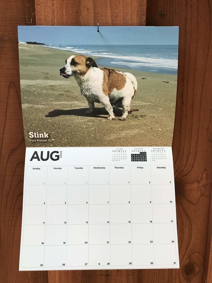Как вам такой календарь?
