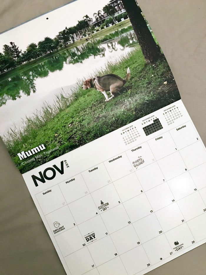 Календарь на 2019 - "Какающие собаки" - стал хитом продаж 