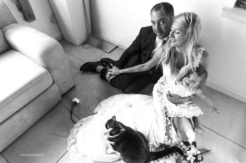 Свадебные фотосессии с котиками, от которых становится тепло на душе 