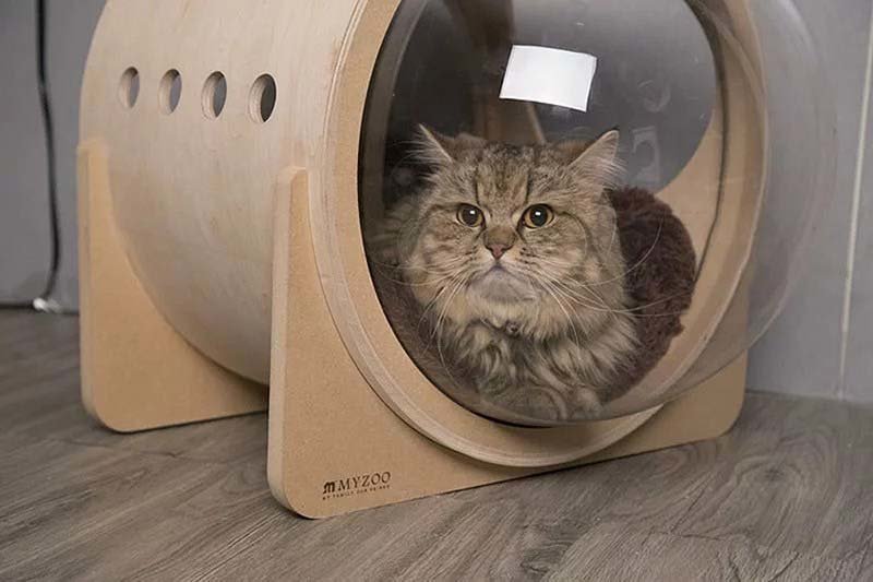 Домики для кошек, в которых можно лететь в космос 
