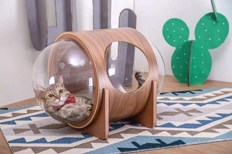 Домики для кошек, в которых можно лететь в космос 