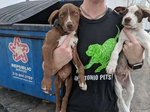 Двух крошечных щенков выбросили в мусорный контейнер 