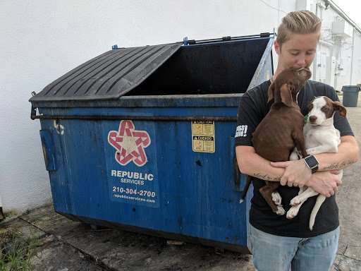 Двух крошечных щенков выбросили в мусорный контейнер 