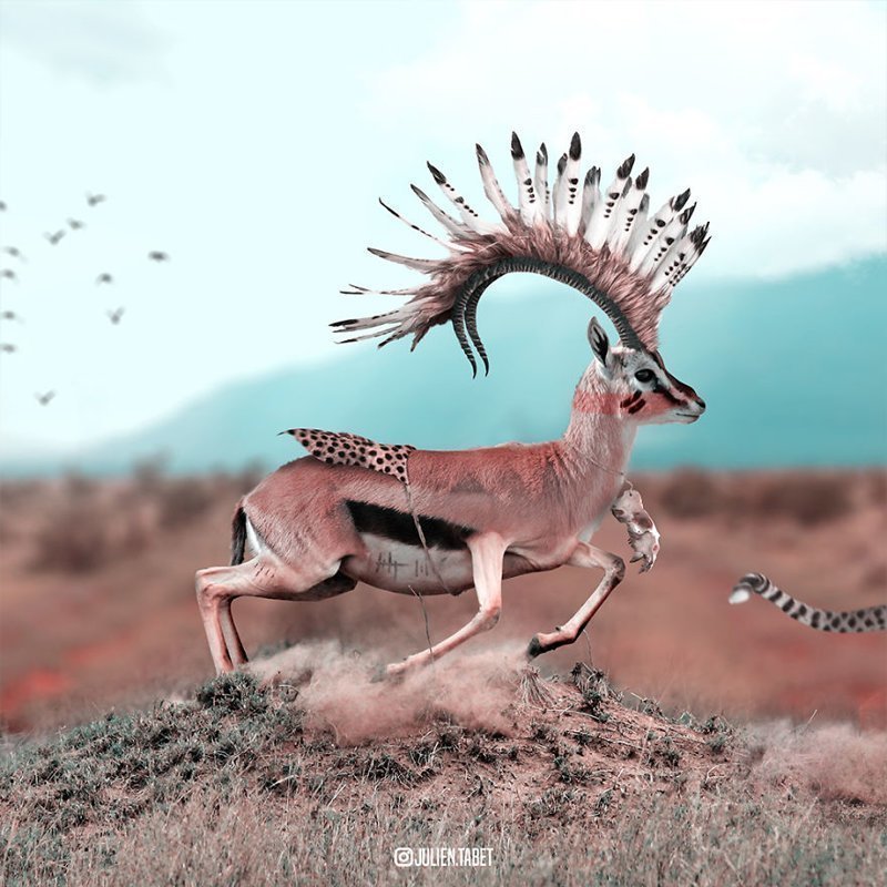 Сюрреалистичные иллюстрации с животными, которые раскрывают тайны зверей