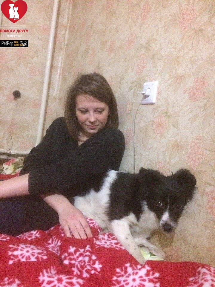 "Завести собаку - это самое правильное решение в моей жизни, о котором я никогда не пожалею", - поделилась Алина