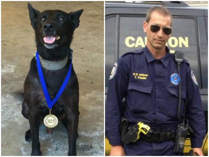 Служебная собака, рискуя жизнью, спасла полицейского от нападения преступников