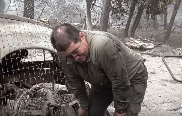 Мужчина спас котика после пожаров в  Калифорнии и снял об этом душещипательный ролик 