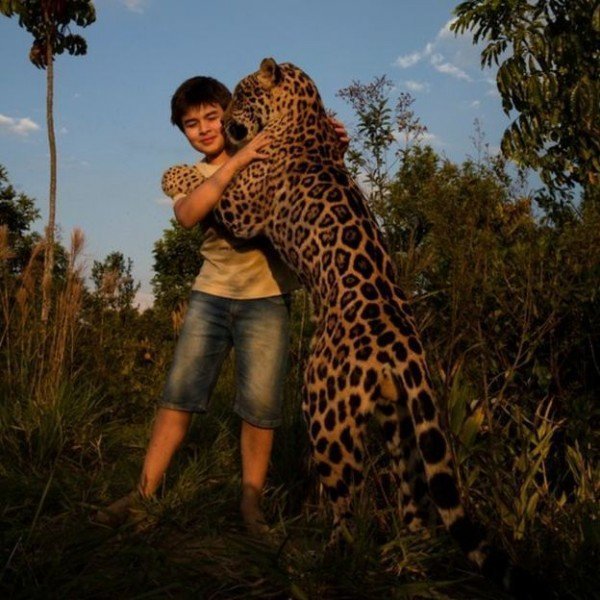 Удивительная история ребёнка, который спасает ягуаров