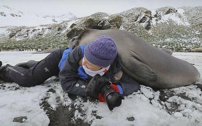 Очень общительный тюлень решил пообниматься с фотографом