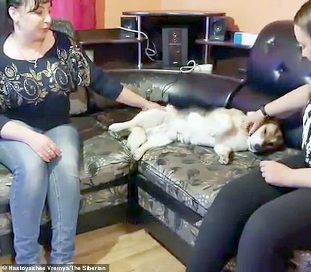 Новость о замерзающей собаке дошла до волонтеров из Новосибирска. Они преодолели 400 км, чтобы забрать пса