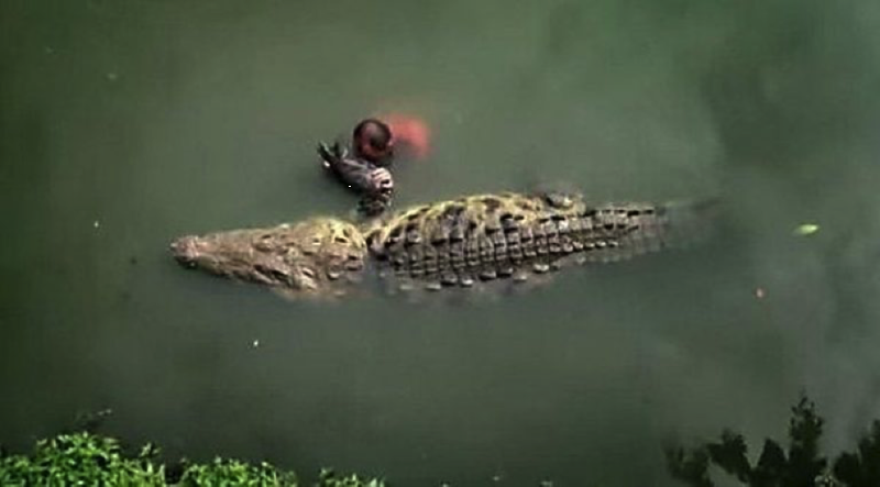 Рыбак рассказал о том, как он умудрился подружиться с крокодилом