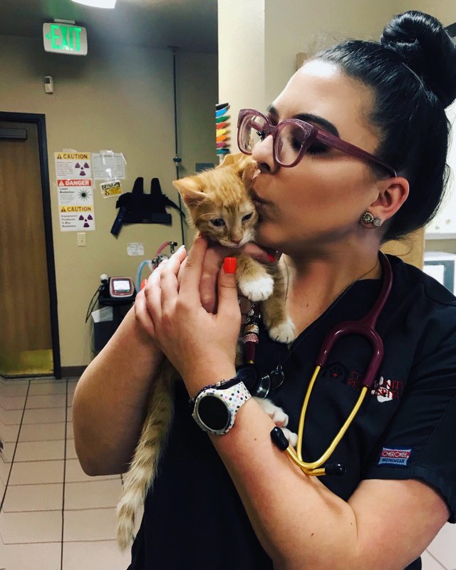 Ветеринар, который по-настоящему влюблен в свою работу