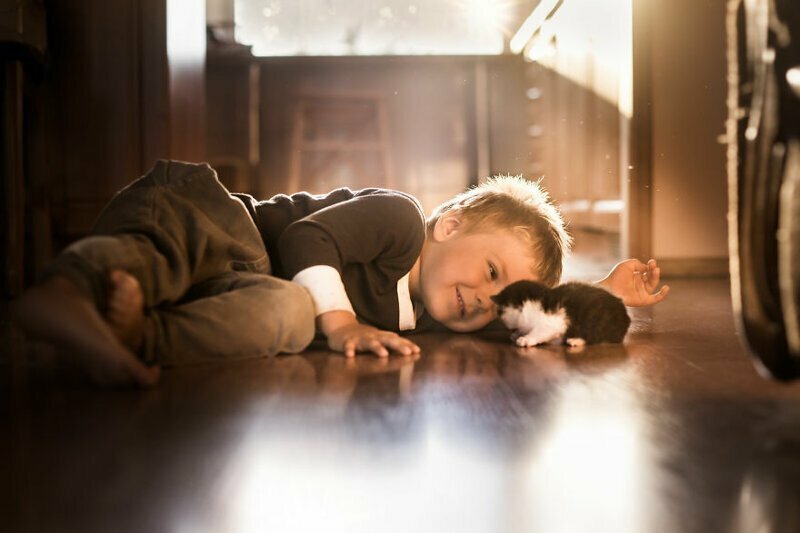 Удивительная дружба маленького мальчика и кошек, от которой теплеет на душе