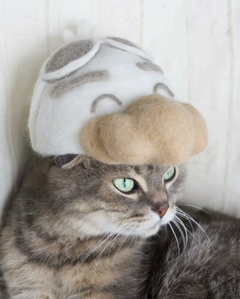 Хозяин создает миленькие парики и шляпки из шерсти собственных котов