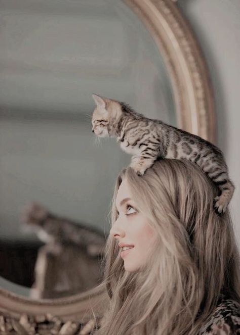 Актриса Аманда Сейфрид и ее кошка Диана
