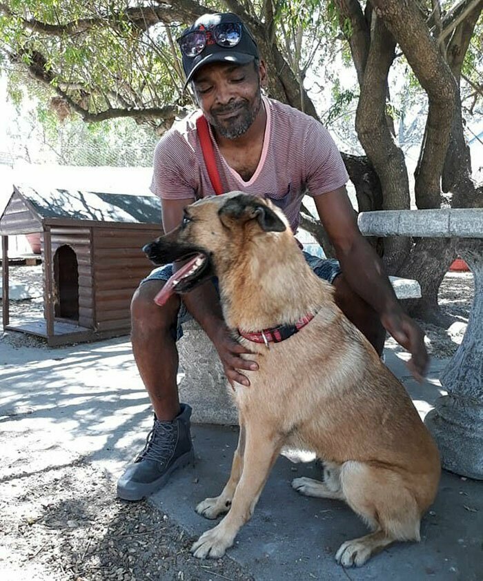 Пёс спас своего хозяина от грабителя и чудом выжил