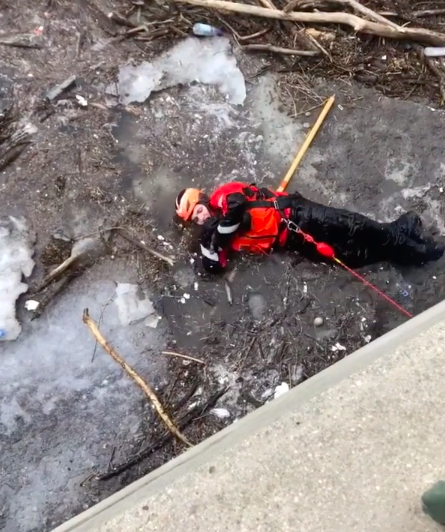 Тонущий в ледяной реке щенок чуть не ушел под лед