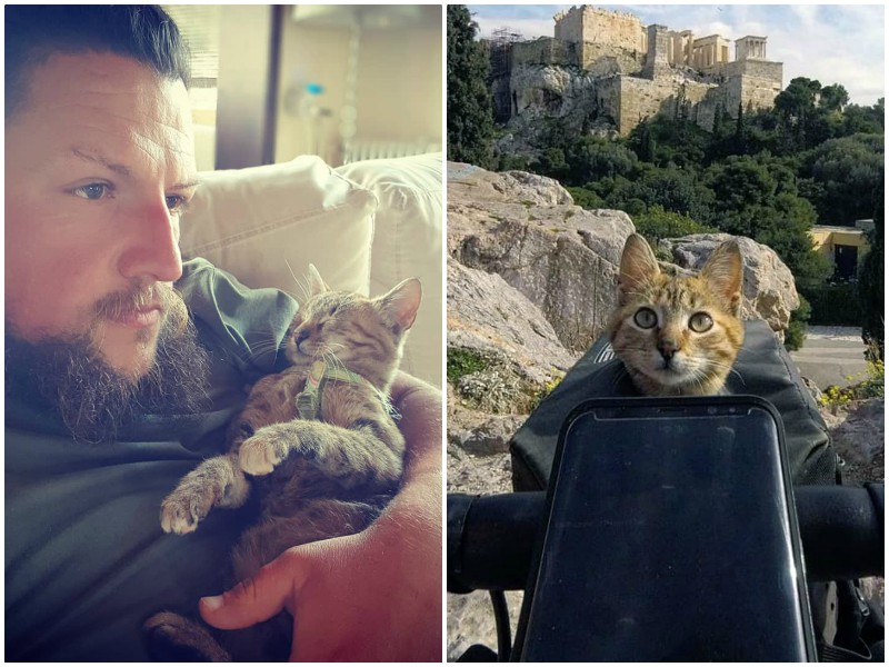 Путешественник подобрал бездомную кошку, и та изменила его планы