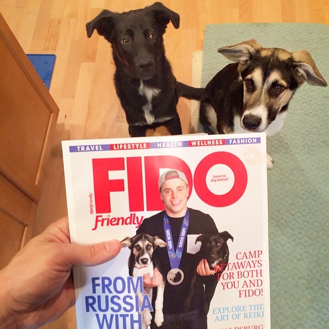 Спортсмен из США спас двух бездомных щенков из России