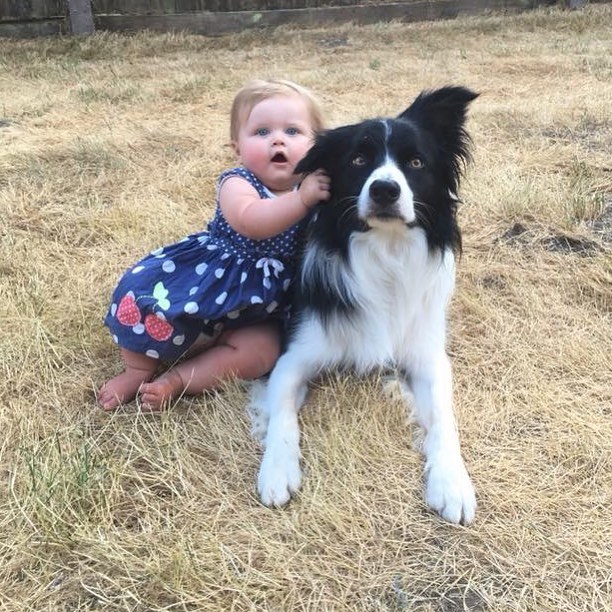 25 милых фото, доказывающих, что ребенку непременно нужна собака