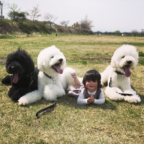 Лучшие друзья этой маленькой девочки - 3 огромные собаки