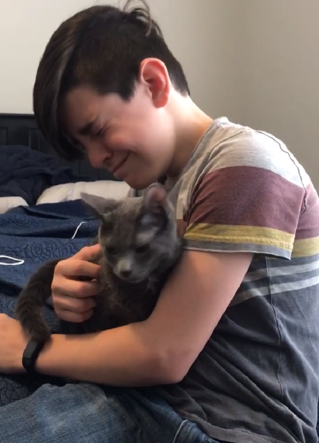 15. 13-летнему мальчику подарили кошку, о которой он мечтал много лет