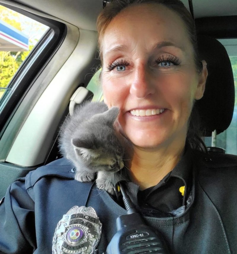 Женщина-офицер поехала на работу, и вернулась с котенком на плече