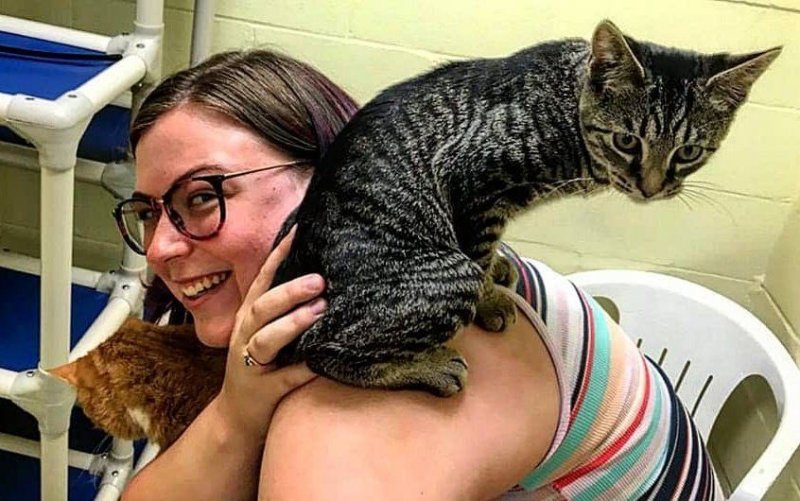 Слепой приютский кот нашел лучшего друга, который стал его "глазами"