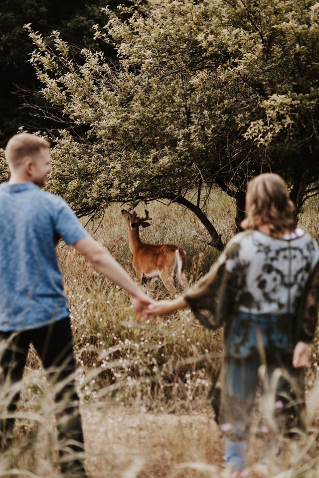 На предсвадебную фотосессию к паре заглянул неожиданный гость - дикий олень