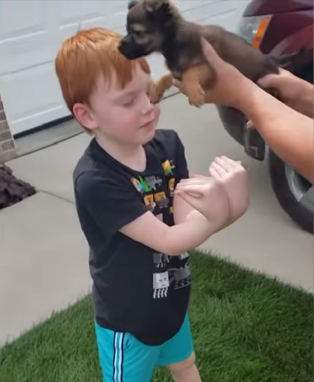 Мальчик не сдержал слез, получив долгожданного щенка в подарок