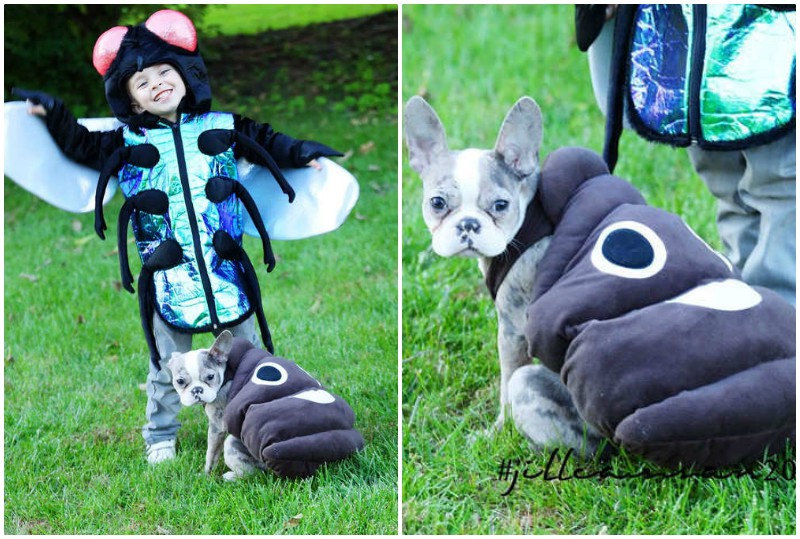 Мальчик с собакой уделали всех своими костюмами на Хэллоуин