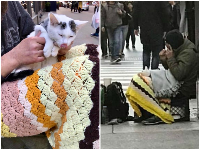 Бездомный мужчина выходил больного котенка, и тот стал его единственным другом