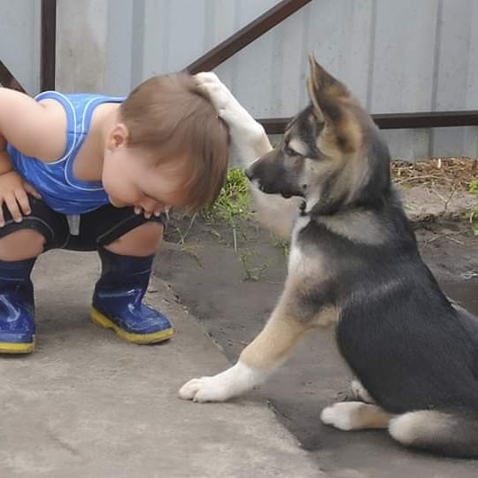 20 умилительных фотографий, после которых вы поверите в дружбу между детьми и животными