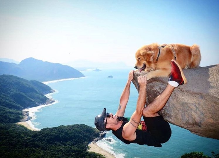 20 забавных фото собак, которые зарядят позитивом на весь день