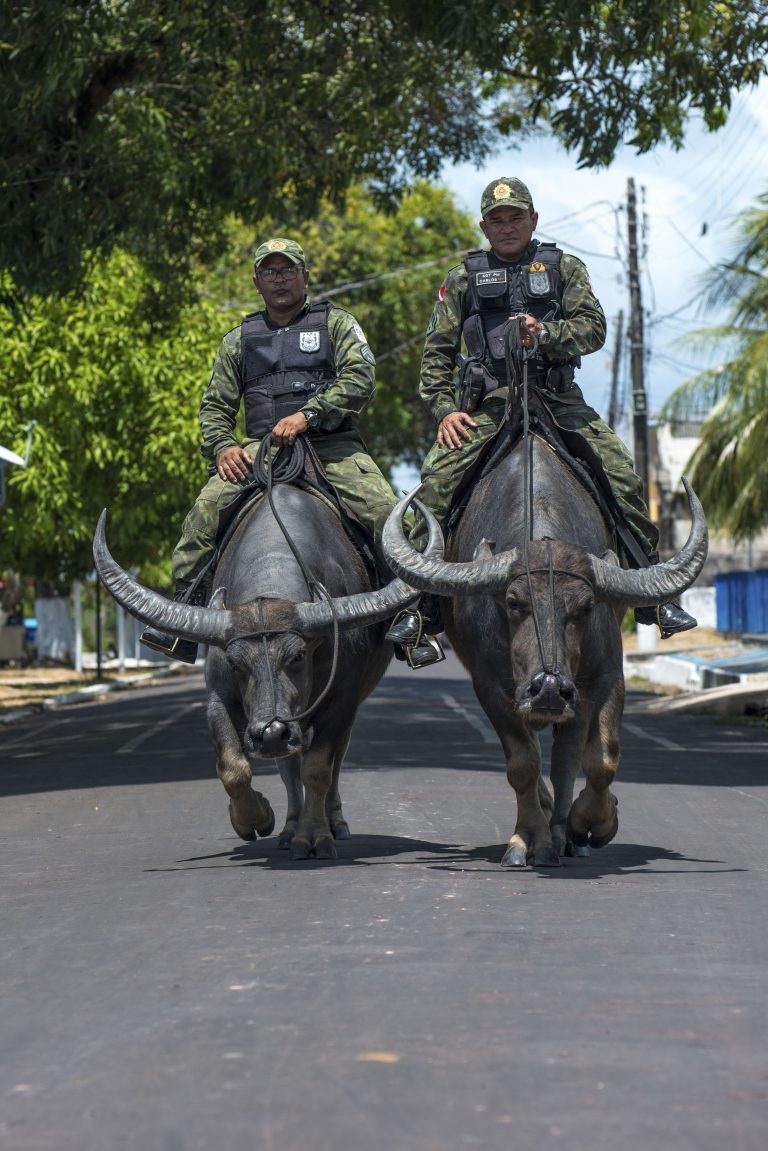 Бразильская полиция патрулирует улицы на буйволах