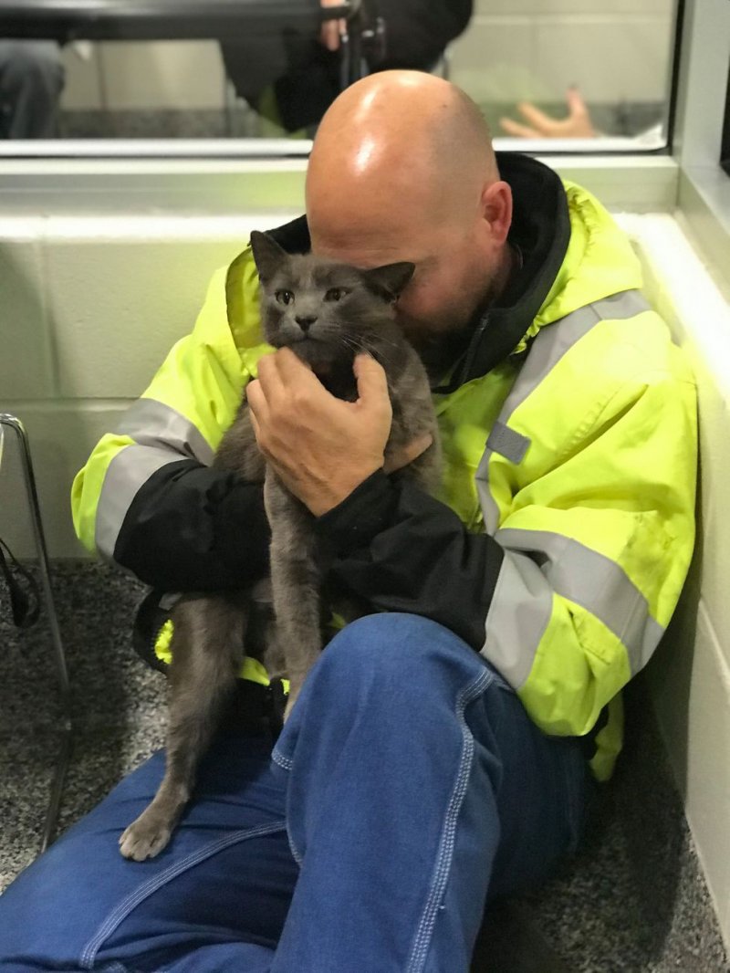 Мужчина не сдержал слез, когда воссоединился с пропавшим котом