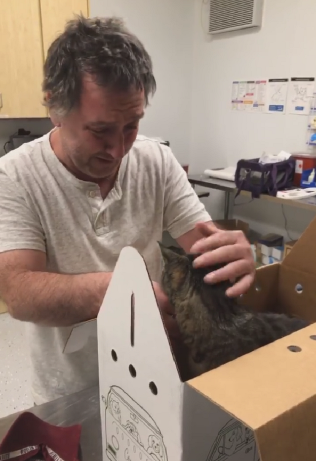 Трогательная встреча мужчины с котом после 7 лет разлуки