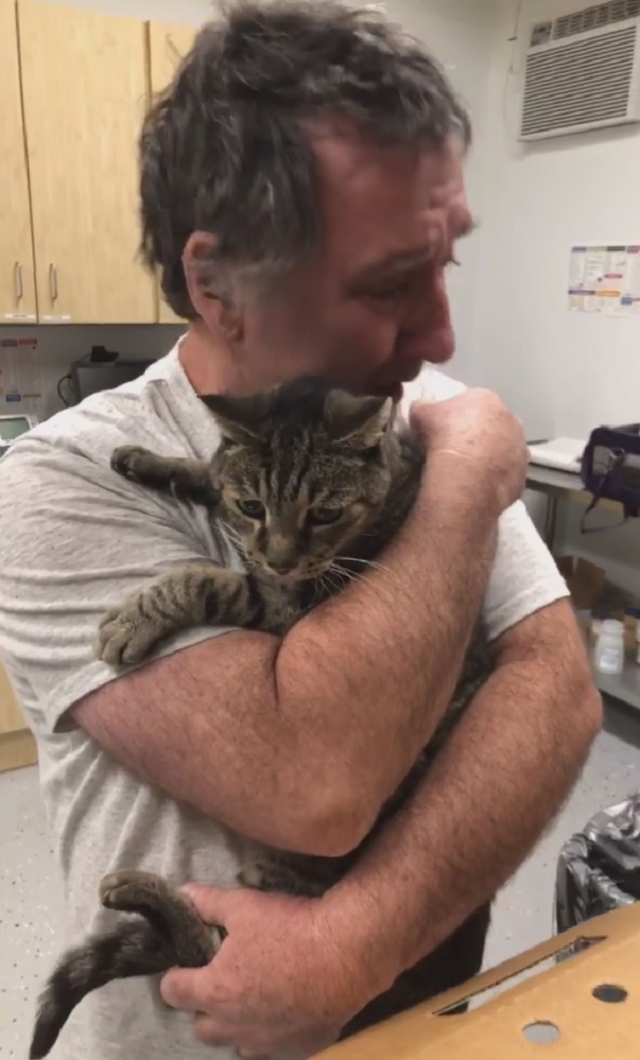 Трогательная встреча мужчины с котом после 7 лет разлуки