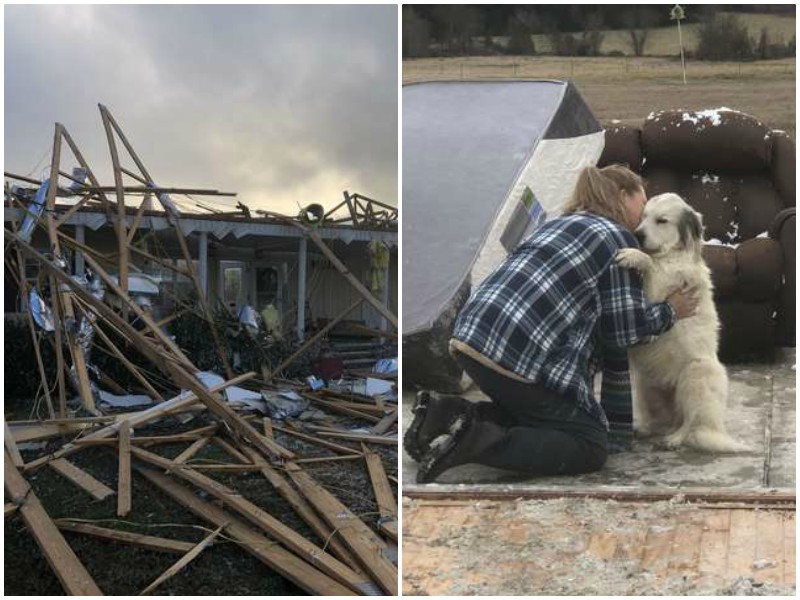 Трогательная встреча семьи с собакой после разрушительного торнадо