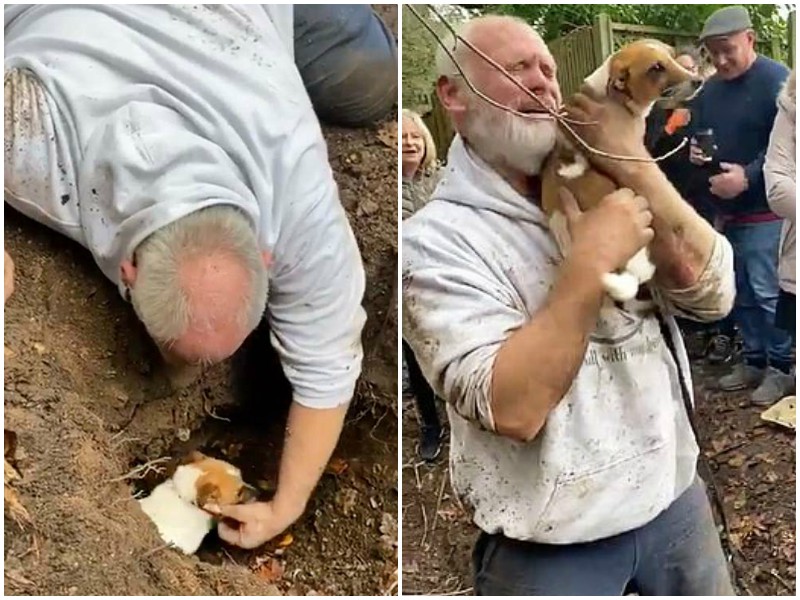 Мужчина не сдержал слез, когда нашли его собаку, 3 дня пробывшую под землей